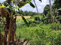 Valuble Land For Sale In Panadura