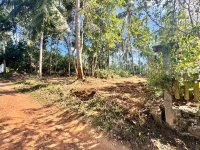 Valuable Land for Sale in Tangalle – Ideal for Residential or Investment
