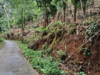 Main Road Faced Residential Land for Sale In Galle