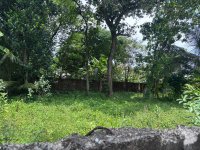 Land For Sale In Makola 