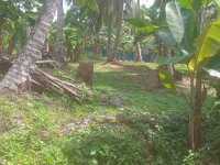  AGRICULTURAL LAND FOR SALE 