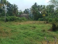 Land For Sale In Piliyandala