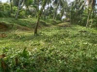 Commercial Land For Sale In Kalutara