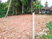Valuble Land For Sale In Gampaha
