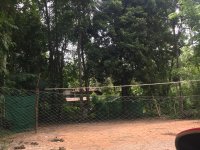 Valuable Land for Sale Near Kurunegala City