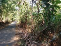 Land For Sale In Ampara 