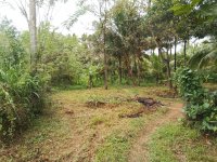 Land for Sale in Kurunagala