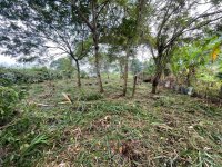 Land for Sale Kurunegala City Limits