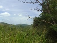 24-ACRE AGRICULTURAL LAND FOR SALE – BERAGALA / WELLAWAYA ROAD