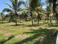 Land For Sale In Kurunegala