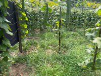 Land For Sale In Meegoda