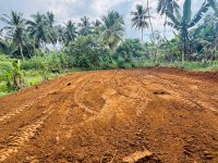 Land for Sale In Pokunuwita 