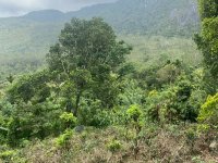 Land For Sale In Rakwana