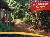 Prime Commercial & Residential Property for Sale In Anuradhapura