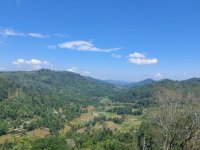 Commercial Land For Sale In Ella