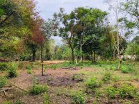 Residential Land For Sale Koggalla