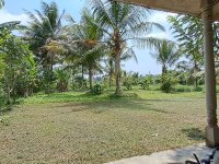 80 Perch Coconut & Mixed Crop Land for Sale – Bandaragama, Raigama