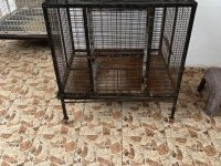 Dog Cage For Sale