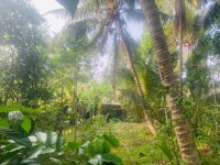 Bandaragama Weedagama Land For Sale 16 Perches